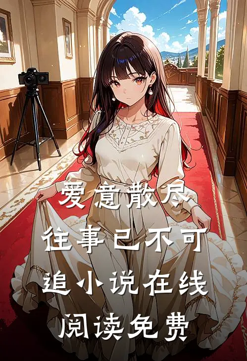 爱意散尽，往事已不可追小说在线阅读免费
